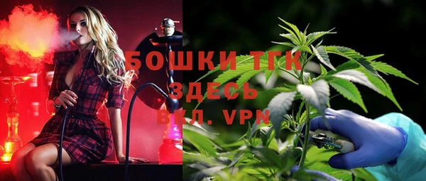 кокс Богородицк